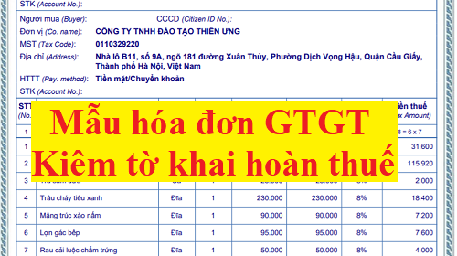Mẫu hóa đơn GTGT kiêm tờ khai hoàn thuế