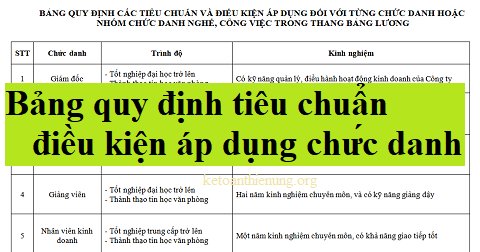 bảng quy định các tiêu chuẩn và điều kiện áp dụng chức danh bảng quy định các tiêu chuẩn và điều kiện áp dụng chức danh