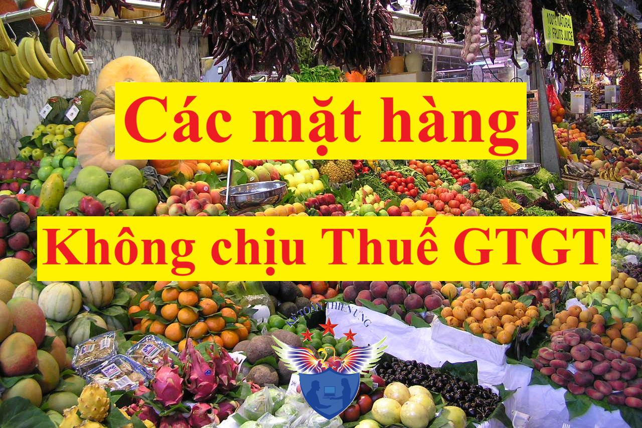 đối tượng mặt hàng không chịu thuế GTGT
