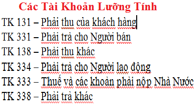 các tài khoản kế toán lưỡng tính