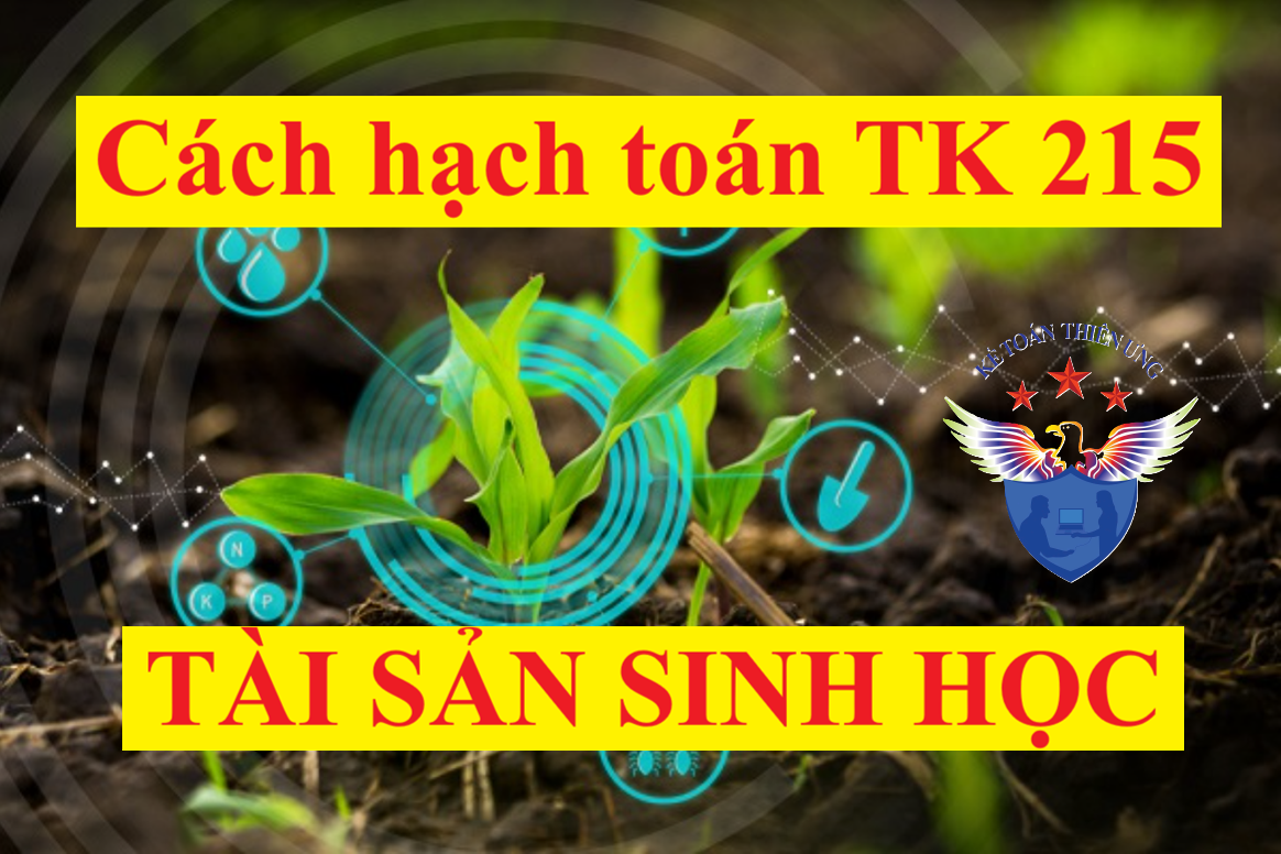 Hạch toán Tài sản sinh học