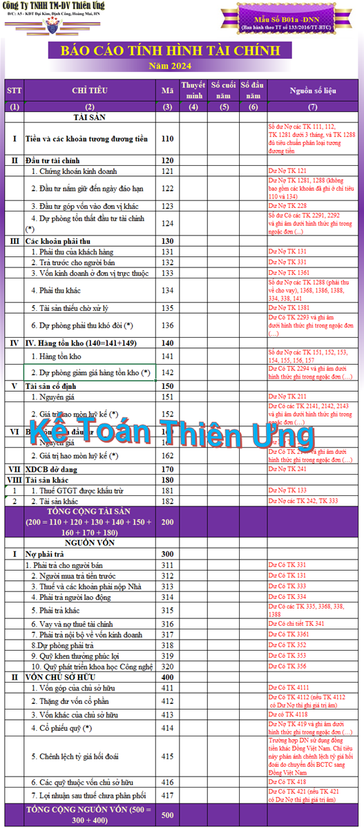 Mẫu báo cáo tình hình tài chính trên Excel