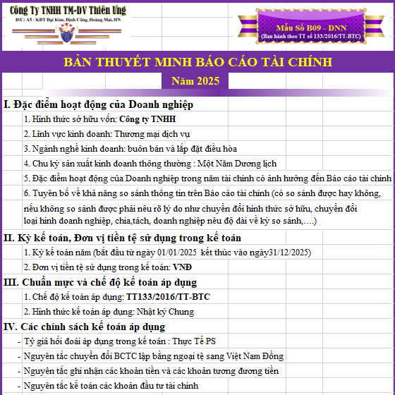 Mẫu thuyết minh báo cáo tài chính