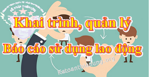quy định về báo cáo sử dụng lao động quy định về báo cáo sử dụng lao động