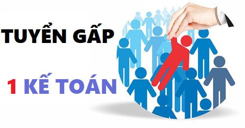 Công ty Cổ phần Vi Lê NTM Tuyển kế toán tổng hợp