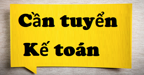 Công ty TNHH xuất nhập khẩu THN Tuyển kế toán tổng hợp