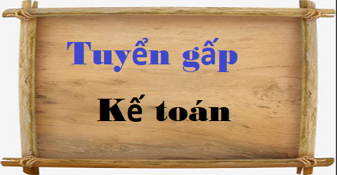 Công ty cổ phần Giao Hàng Tiết Kiệm Tuyển nhiều vị trí kế toán