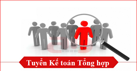 Công ty TNHH Đầu Tư Phát Triển JAGUAR Việt Nam Tuyển kế toán tổng hợp