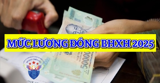 Mức lương, phụ cấp phải đóng BHXH năm 2025