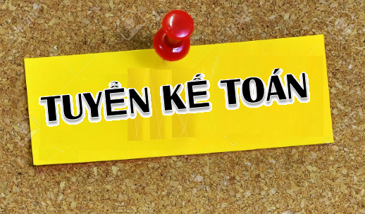 Công ty Cổ phần NETIT Tuyển kế toán nội bộ