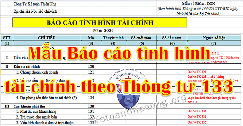 Mẫu Báo Cáo Tình Hình Tài Chính Theo Thông Tư 133